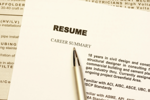 resume career summary